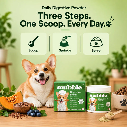 Digestive Blend for Dogs