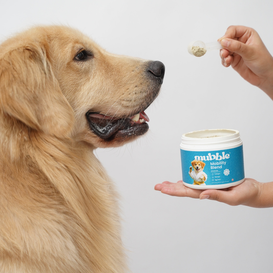 Mobility Blend for Dogs