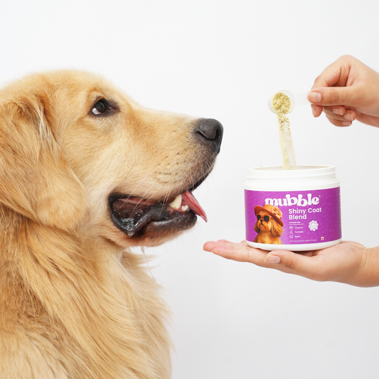 Shiny Coat Blend for Dogs