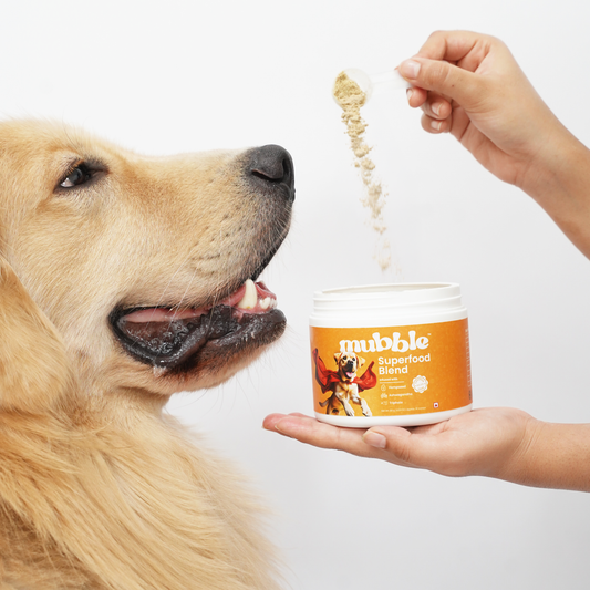 Superfood Blend for Dogs