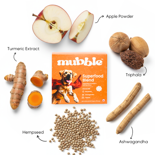 Monsoon Wellness Duo for Dogs