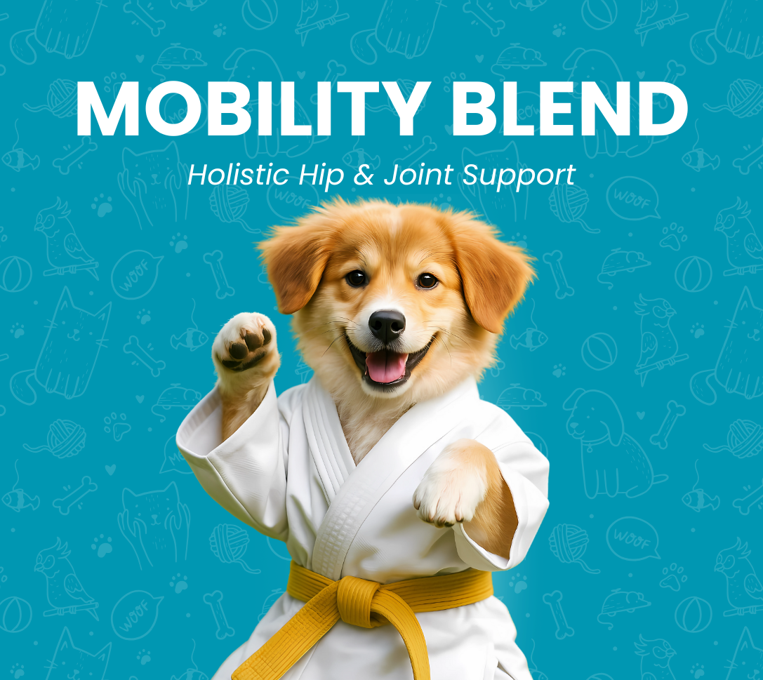 Holistic Hip & Joint Support