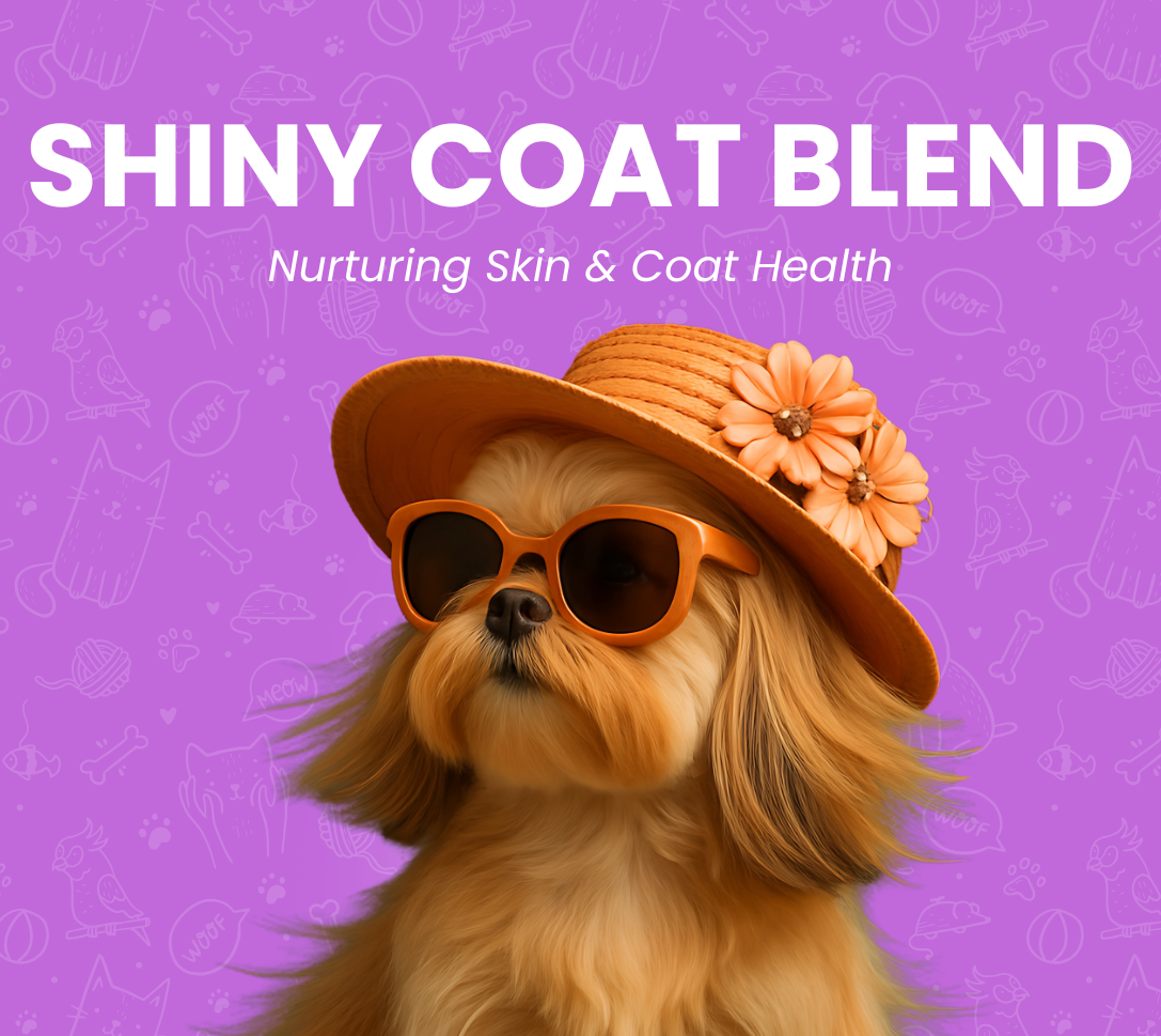 Nurturing Skin & Coat Health