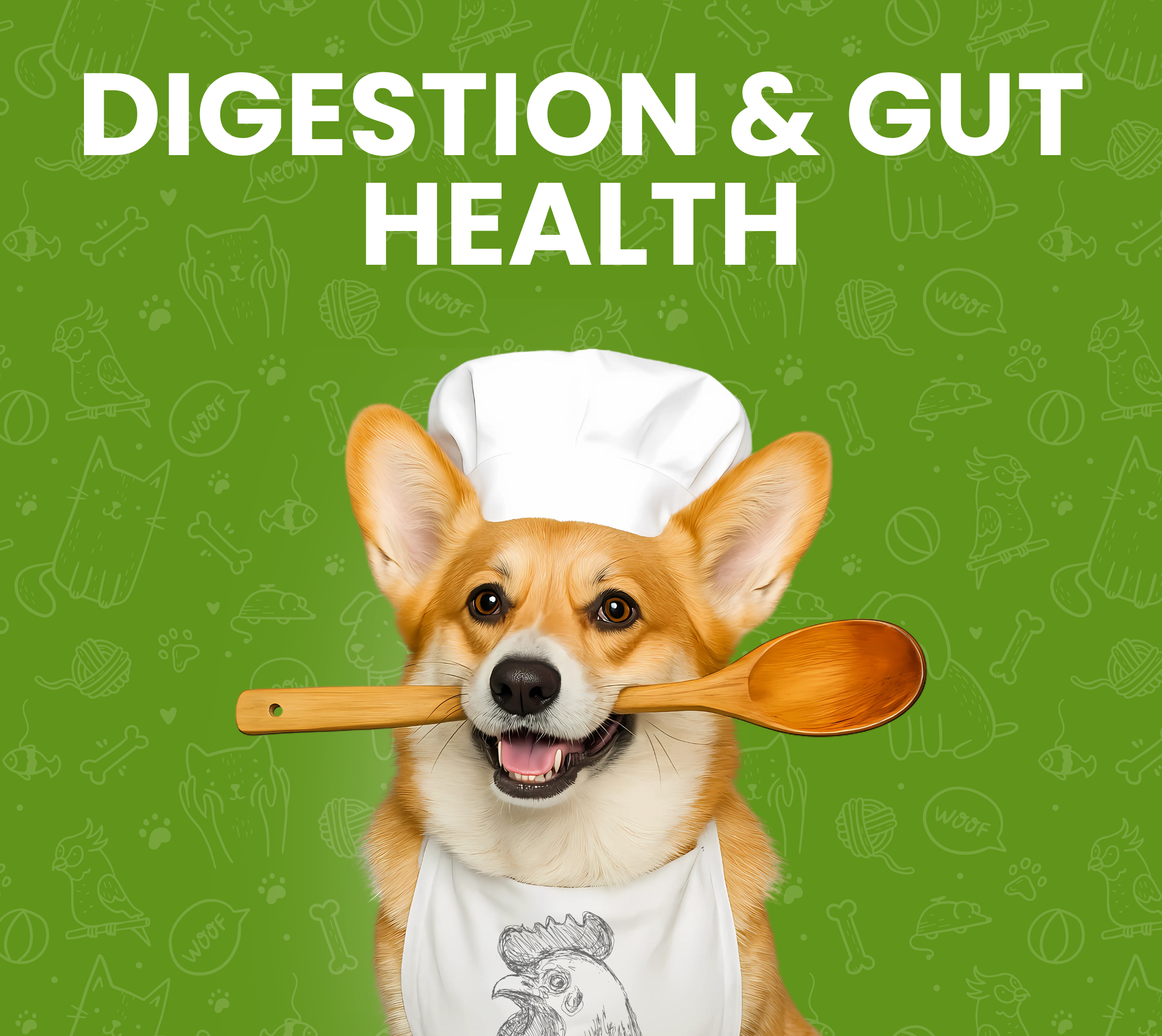 Balanced Gut & Digestive Support