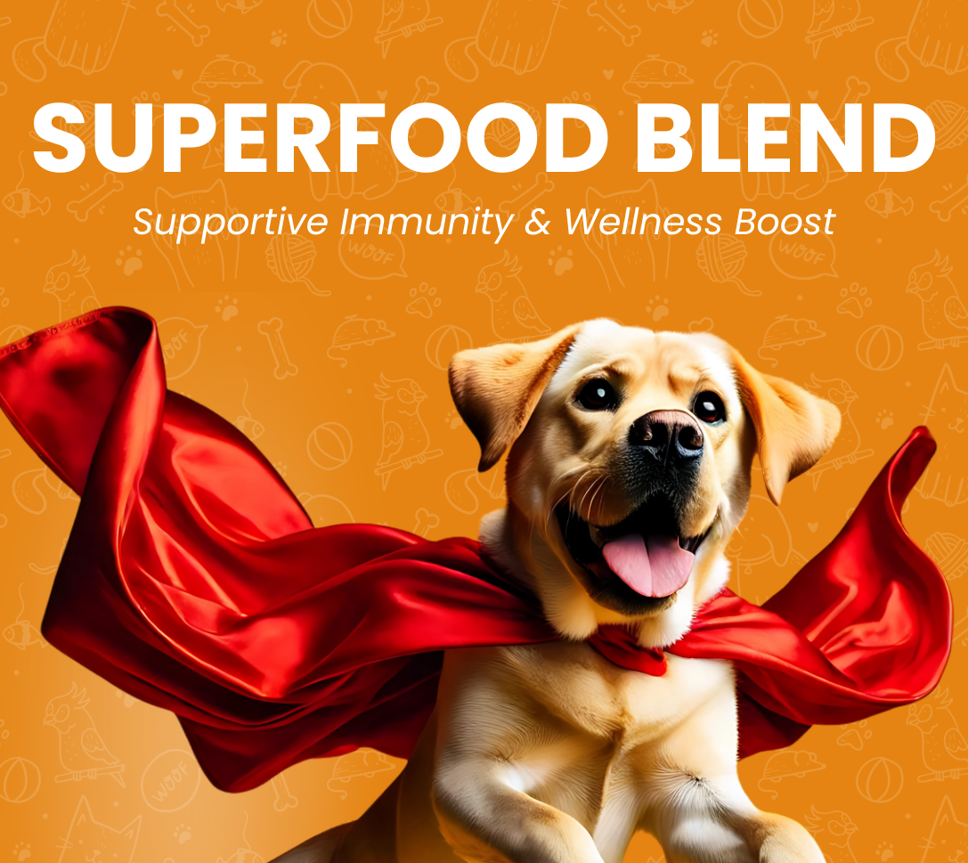 Supportive Immunity & Wellness Boost