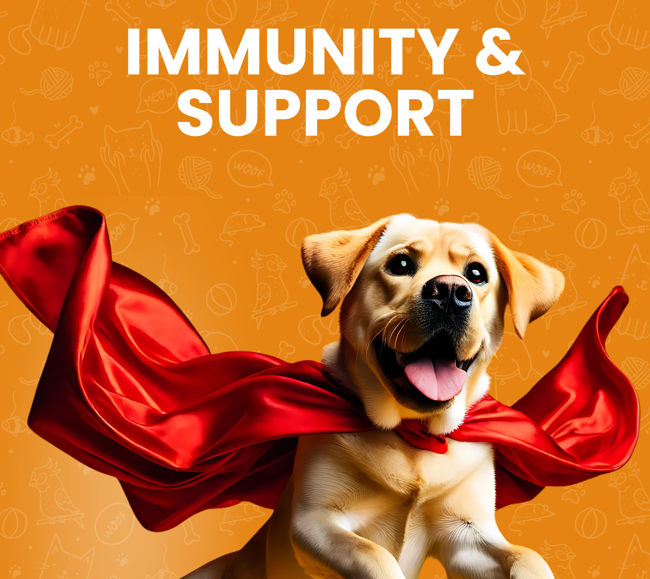 Supportive Immunity & Wellness Boost