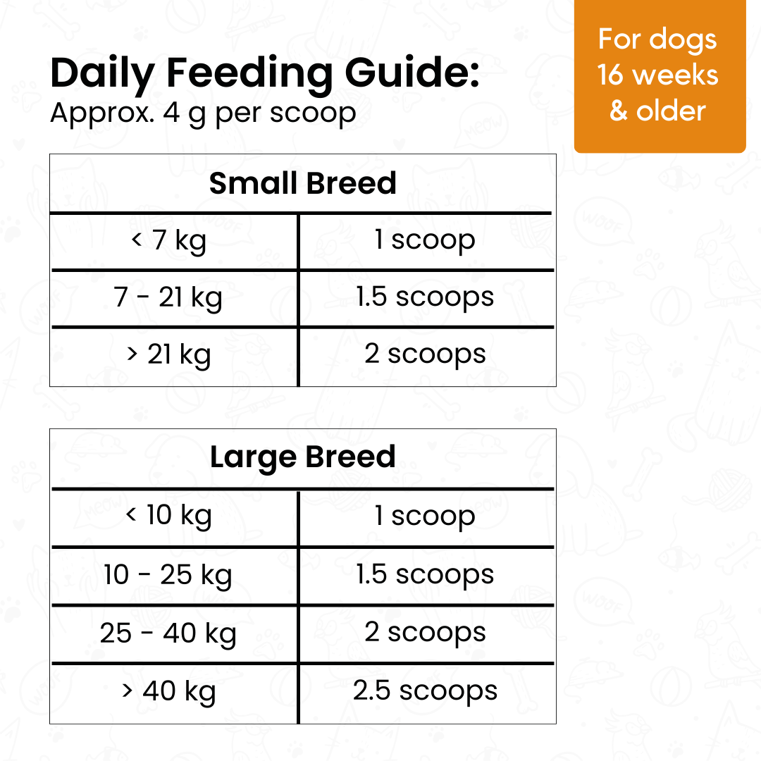 Superfood Blend for Dogs