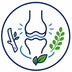 A circular vector icon featuring a knee joint in navy blue outline with green leaves and a small branch on a white background.
