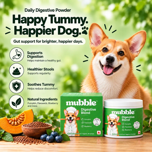 Digestive Blend for Dogs
