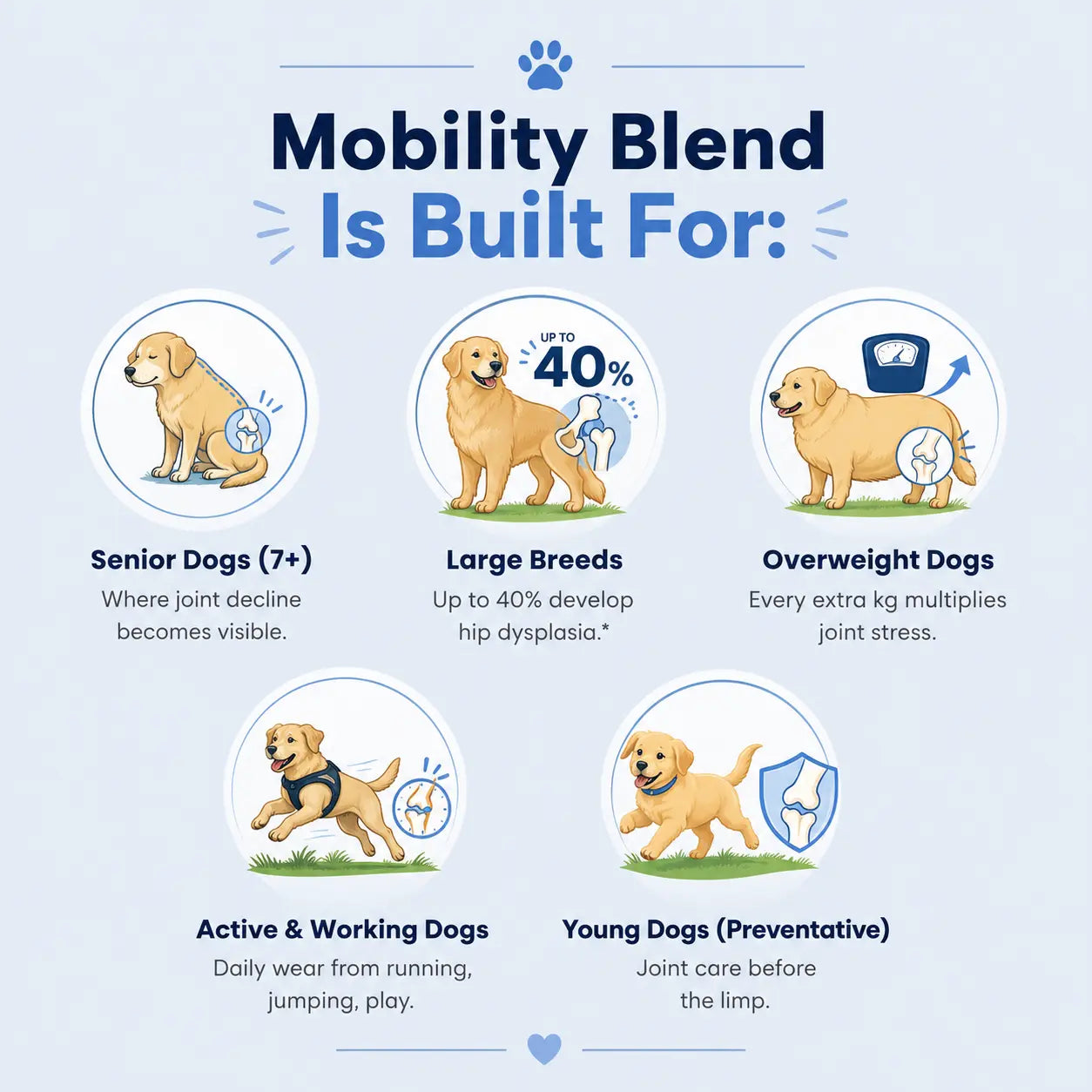 Mobility Blend for Dogs