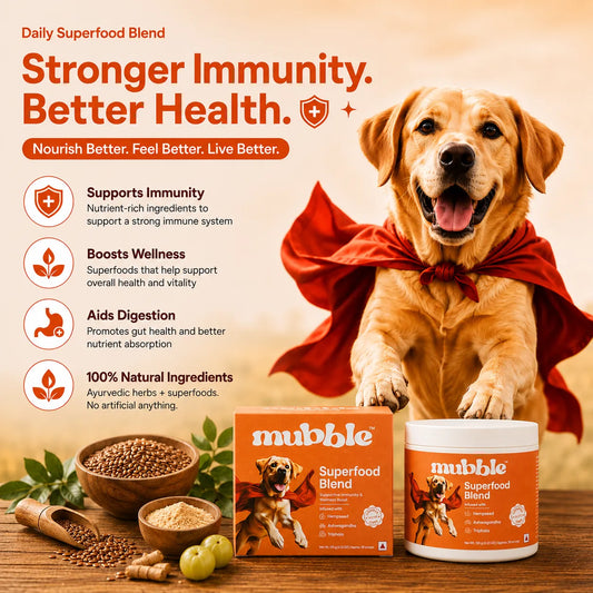 Superfood Blend for Dogs