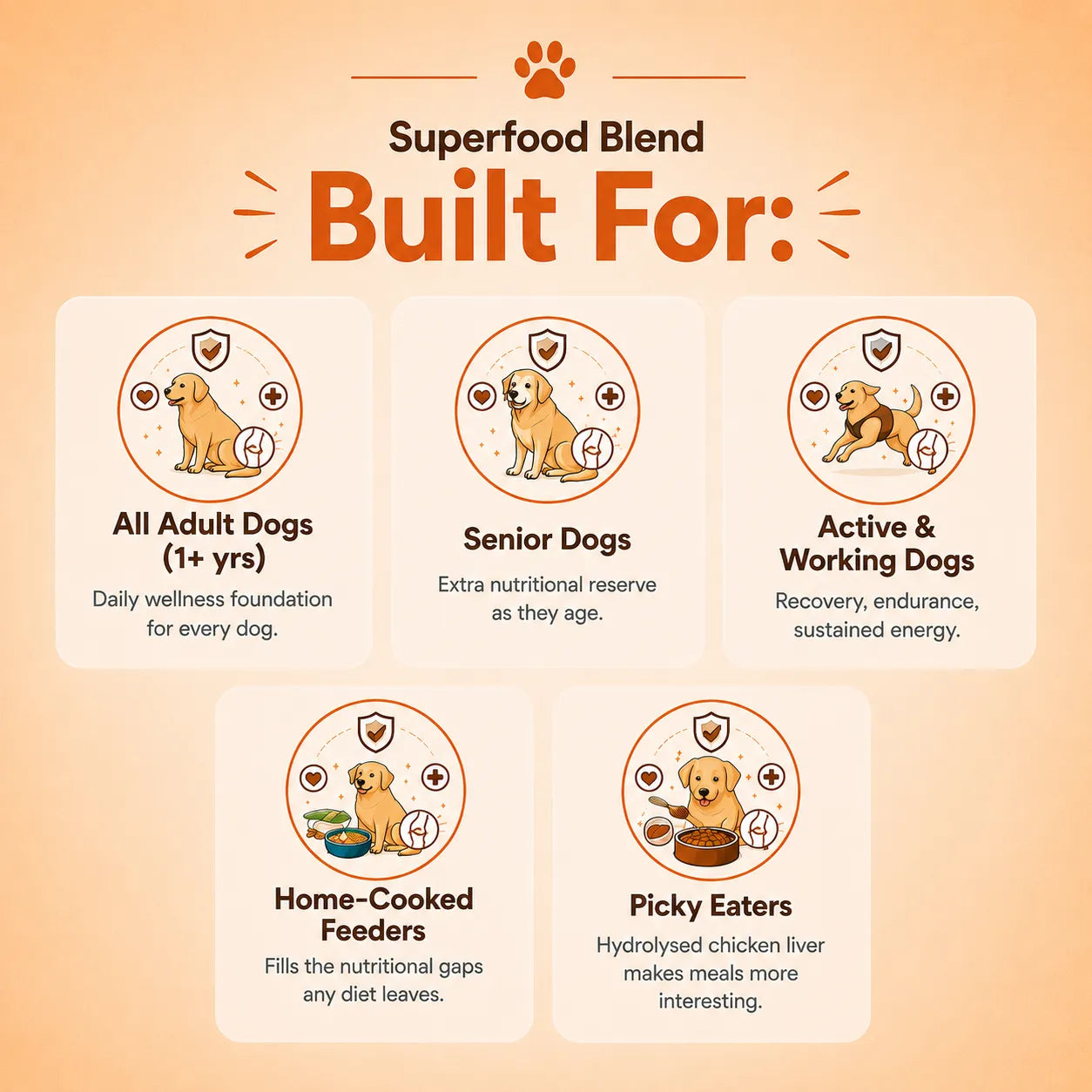 Superfood Blend for Dogs