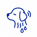 Wet fur, ear issues