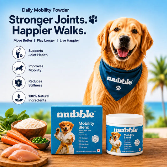 A golden retriever dog wearing a blue bandana stands beside a box and jar of mubble Mobility Blend pet joint supplement on a beach-themed background. The ad includes marketing text about stronger joints and happier walks, plus ingredient props like carrots, rice, and chicken on a wooden board.