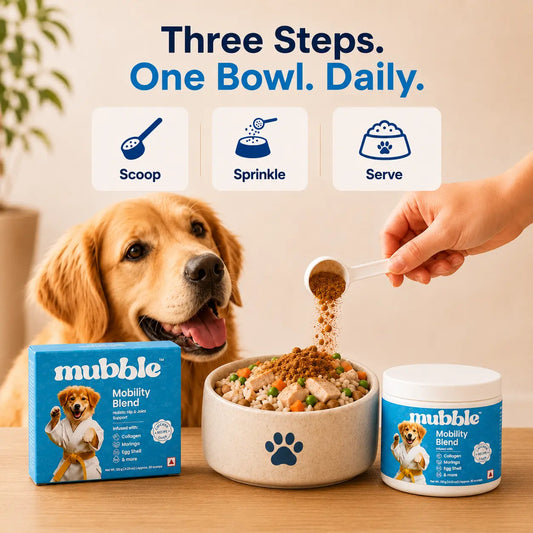 A golden retriever sits beside a bowl of pet food with a human hand sprinkling powder from a scoop. A blue canister labeled 'mubble Mobility Blend' is shown, along with text reading 'Three Steps.